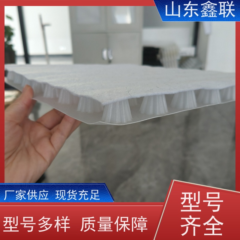 鑫联 黑色国标料 塑料凸片排水层 大厂实力批发 成品疏水板