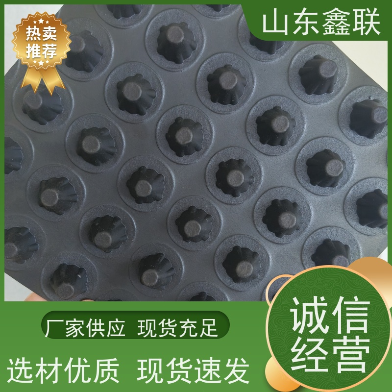 鑫联 16公分大杯口 塑料凸片排水层 科研创新 PE疏水板