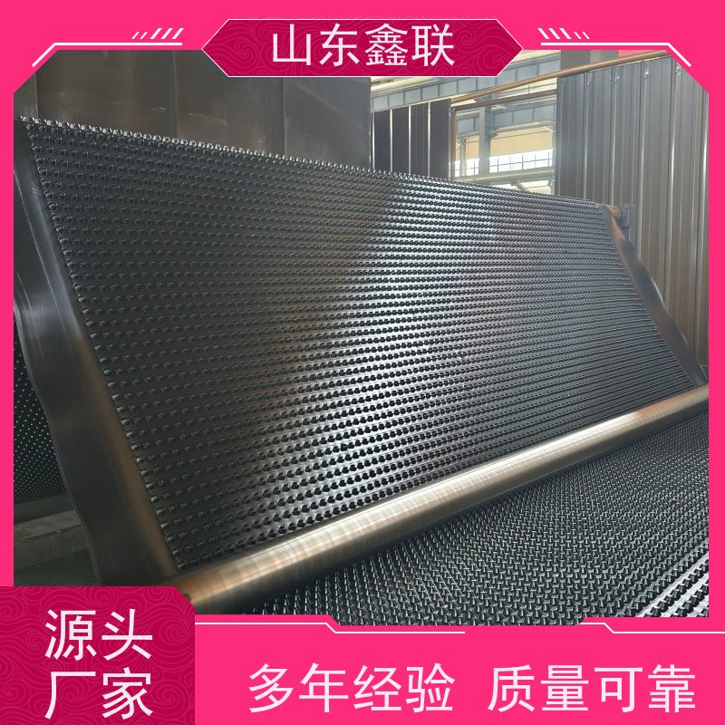鑫联 14高复合一体 塑料凸片排水层 百亩面积厂商 聚乙 烯滤水板