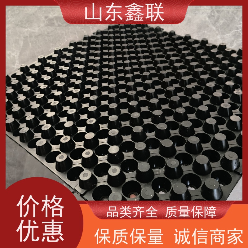 鑫联 黑色国标料 塑料凸片排水层 专注生产供应 成品疏水板
