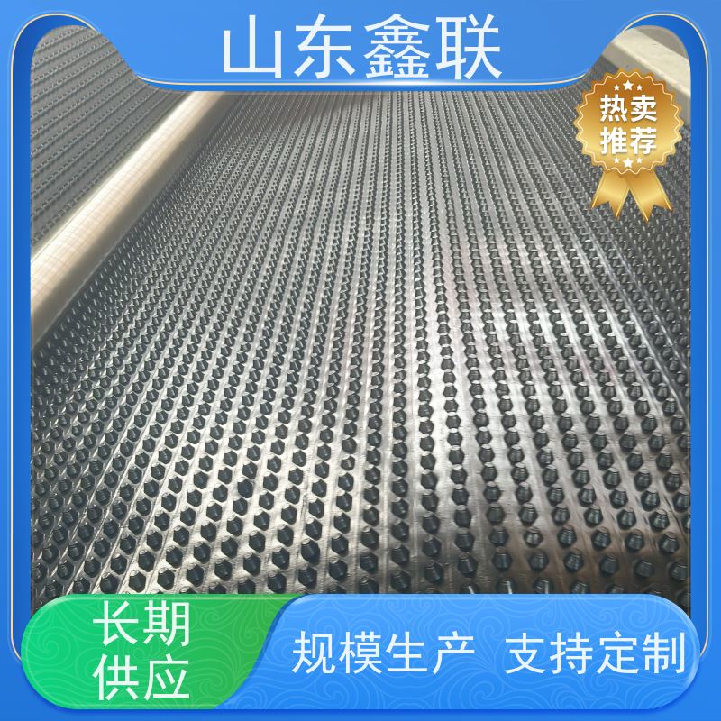 鑫联 黑色国标料 塑料凸片排水层 屋顶花园绿化 聚乙 烯滤水板