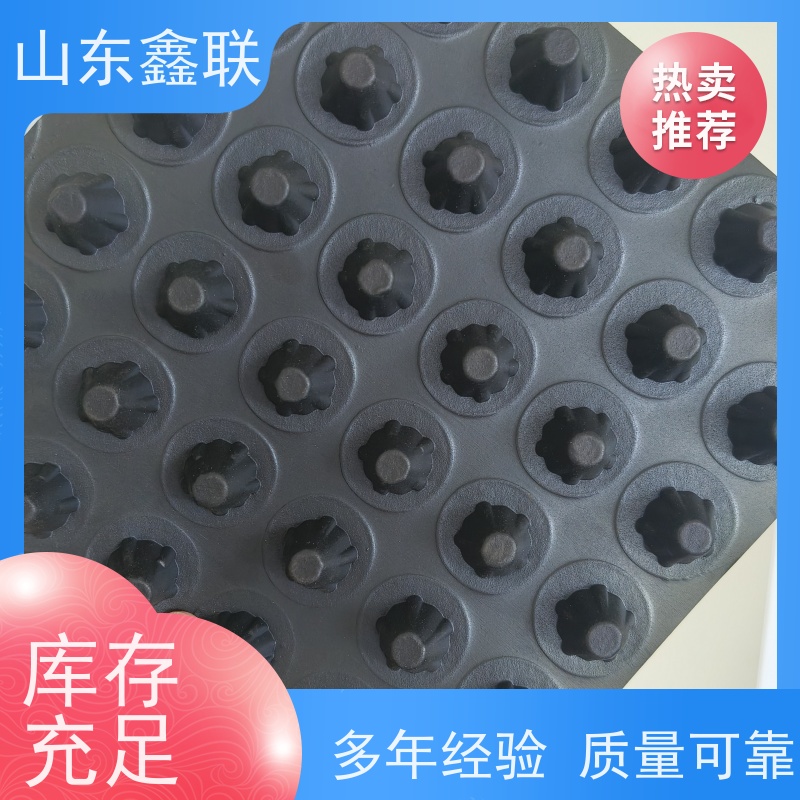 鑫联 40高3*10 塑料凸片排水层 屋顶花园绿化 PE排蓄水板