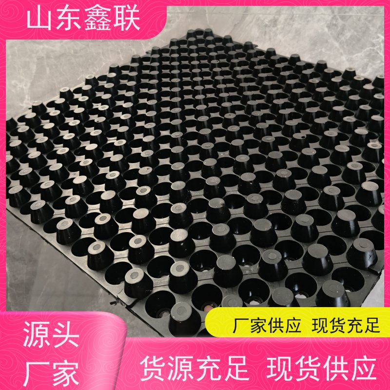 鑫联 1公分高 塑料凸片排水层 车库顶板专用 厚滤水板