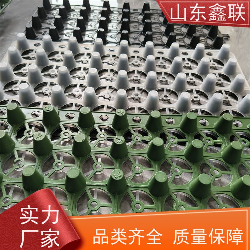鑫联 2公分厚 塑料凸片排水层 国检认证品质 PE疏水板