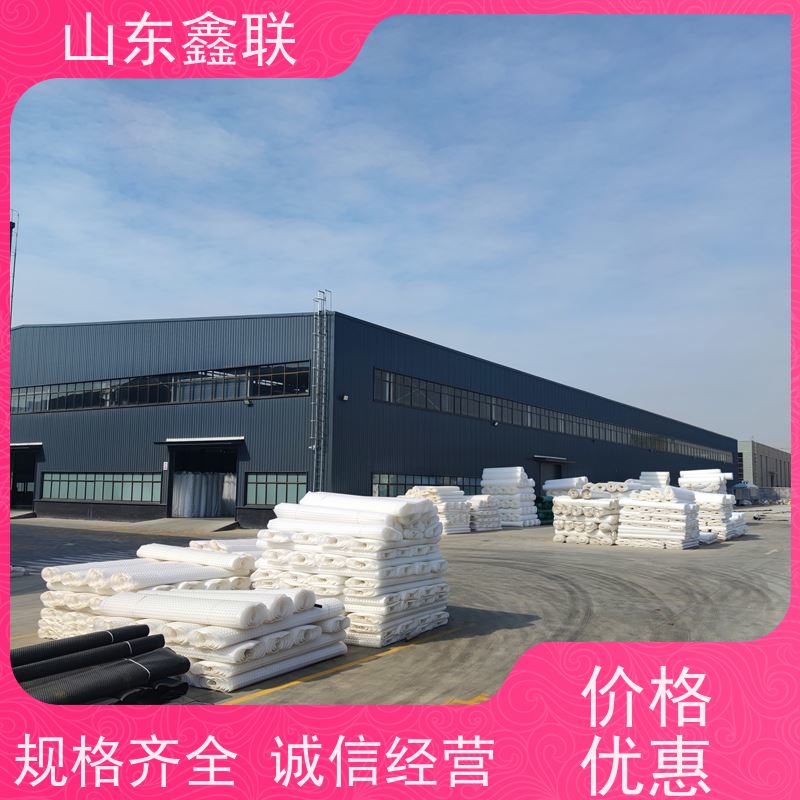 鑫联 14高复合一体 塑料凸片排水层 百亩面积厂商 PE疏水板