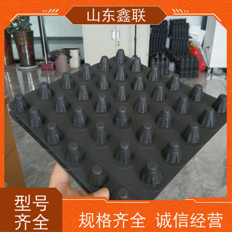 鑫联 40高3*10 塑料凸片排水层 厂家施工指导 成品疏水板