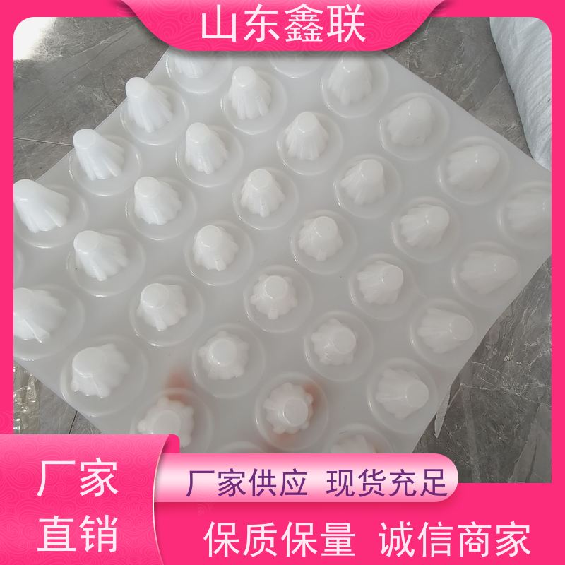 鑫联 20大杯口蓝色底板专用 塑料凸片排水层 严选自营 PE排蓄水板