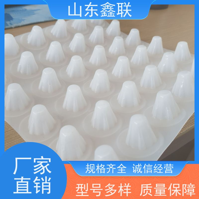 鑫联 40高3*10 塑料凸片排水层 大厂实力批发 成品疏水板