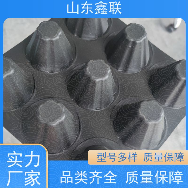 鑫联 2公分厚 塑料凸片排水层 车库顶板专用 PE排蓄水板