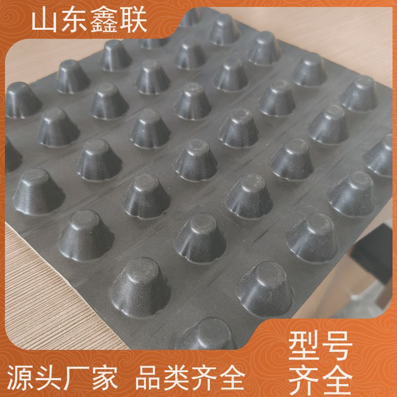 鑫联 14高复合一体 塑料凸片排水层 国检认证品质 聚乙 烯滤水板