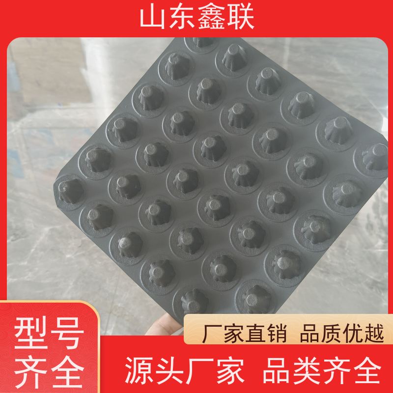 鑫联 40高3*10 塑料凸片排水层 厂家施工指导 PE排蓄水板