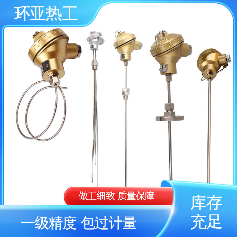 厂家 铠装热电偶温度传感器 pt100高精度 可弯曲探头 环亚