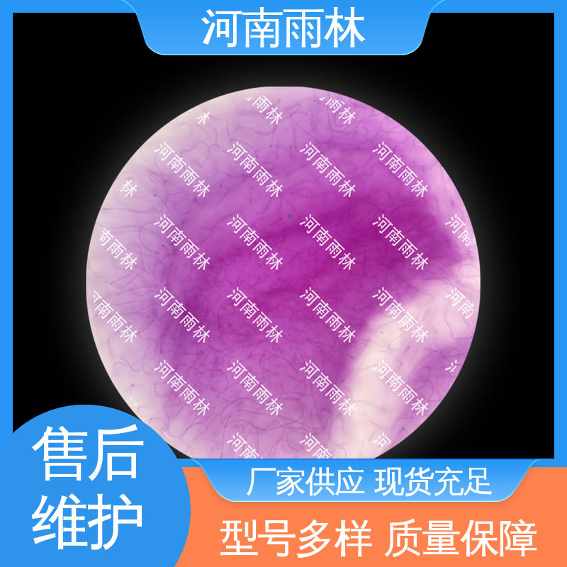 植物标本 售后无忧 个性化定做 细胞清晰 雨林教育