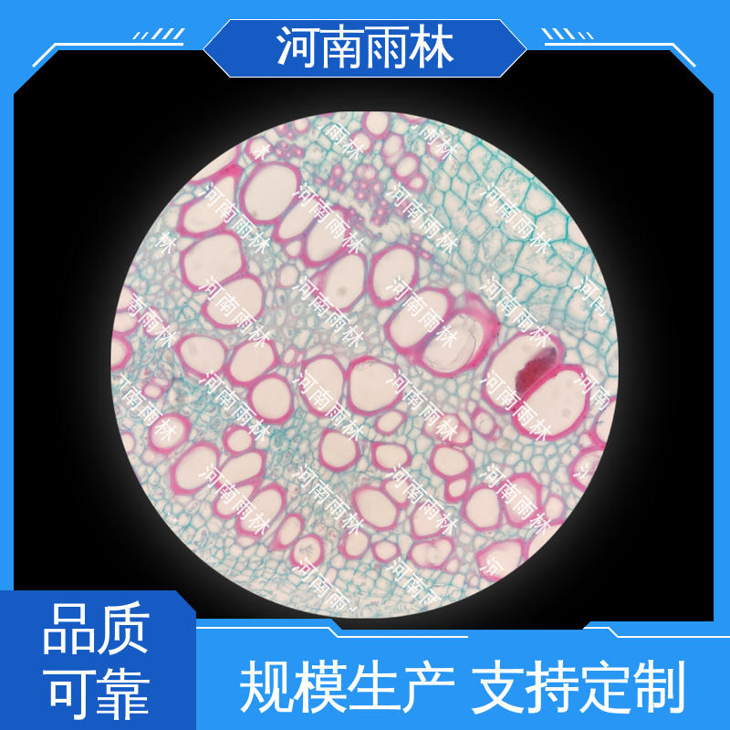 品质优良 个性化定做 性价比高 显微标本 雨林教育工程