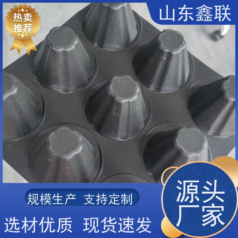 鑫联 1公分高 塑料凸片排水层 科研创新 PE疏水板