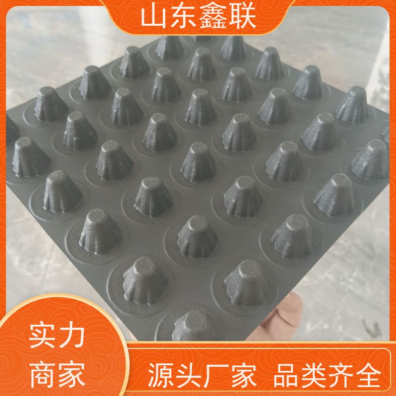 鑫联 50高黑色 塑料凸片排水层 科研创新 单面凸台式高抗冲击滤水板