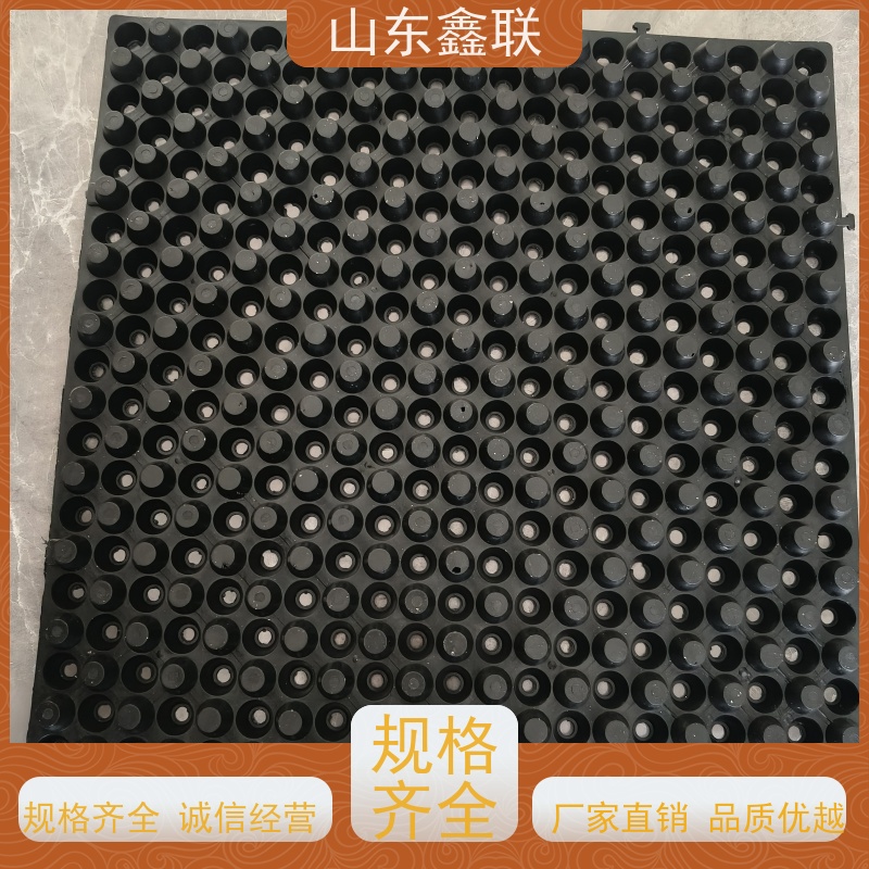 鑫联 40高3*10 塑料凸片排水层 专注生产供应 PE疏水板