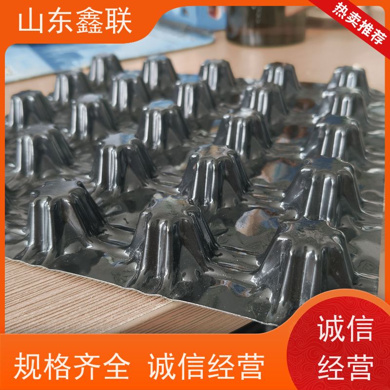 鑫联 40高3*10 塑料凸片排水层 百亩面积厂商 成品疏水板