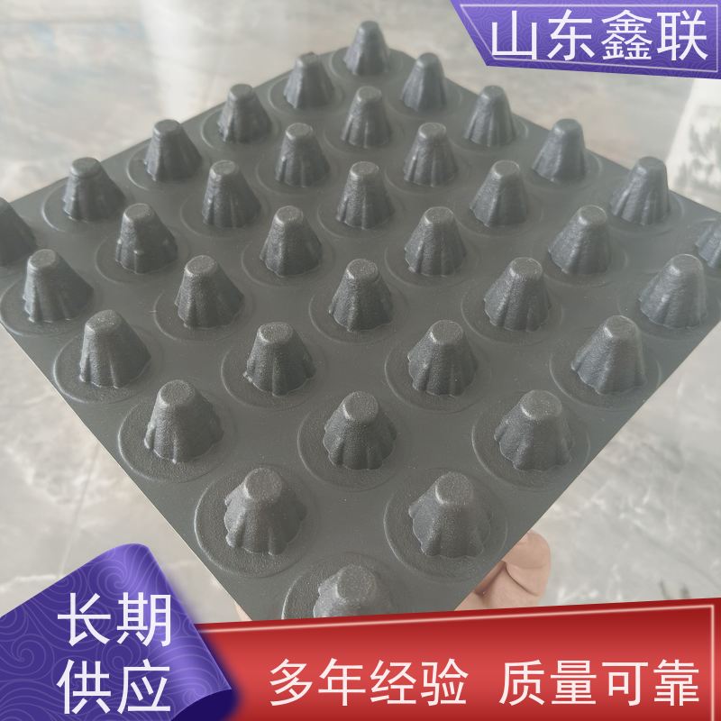 鑫联 14高复合一体 塑料凸片排水层 屋顶花园绿化 PE排蓄水板