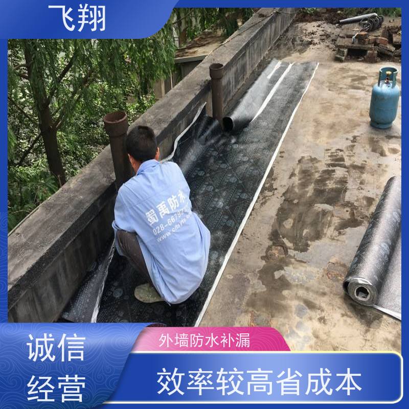 飞翔 卫生间防水补漏施工 地下室渗水堵漏 高压注浆工法