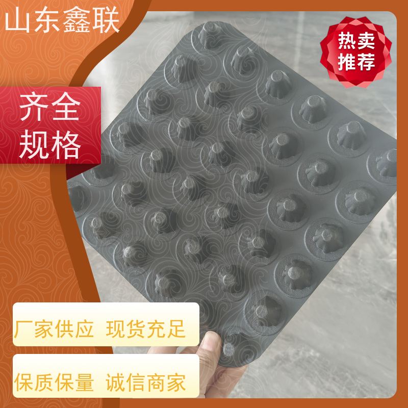 鑫联 16公分大杯口 塑料凸片排水层 专注生产供应 聚乙 烯滤水板