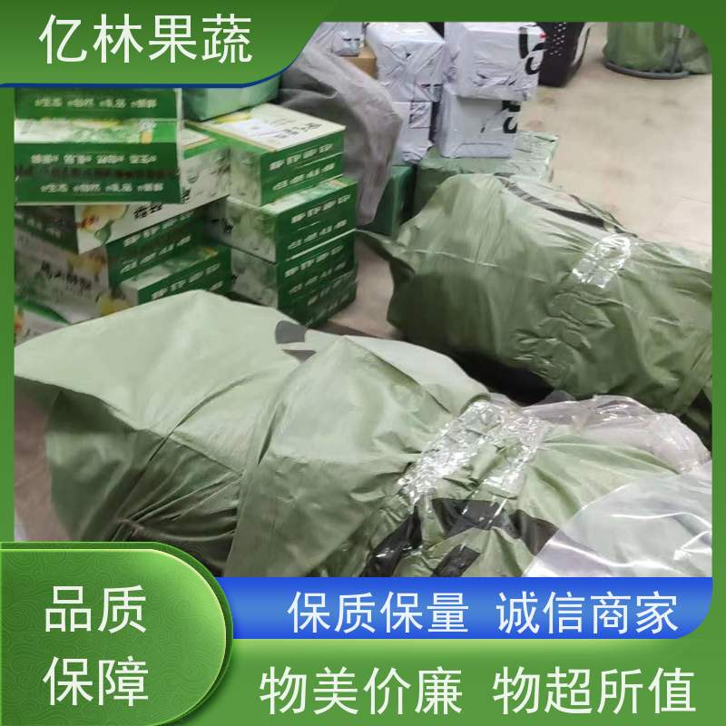 基地培育 黄桃苗 嫁接技术指导 抗寒能力强 易栽培桃树苗