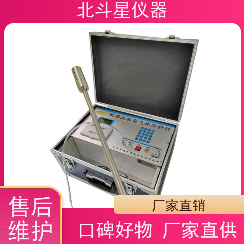 北斗星仪器 多参数测试 适用范围广 恶臭污染物检测仪 pAir2000-EFF