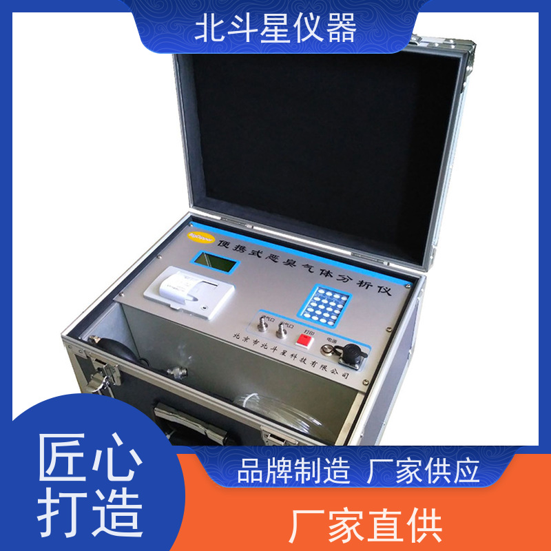 北斗星仪器 实时连续监测 恶臭异味检测仪 pAir2000-EFF