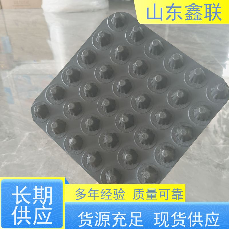 鑫联 1公分高 塑料凸片排水层 屋顶花园绿化 PE排蓄水板