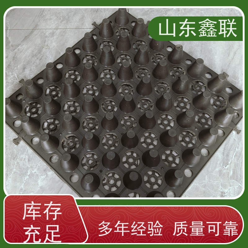 鑫联 20大杯口蓝色底板专用 塑料凸片排水层 科研创新 PE排蓄水板