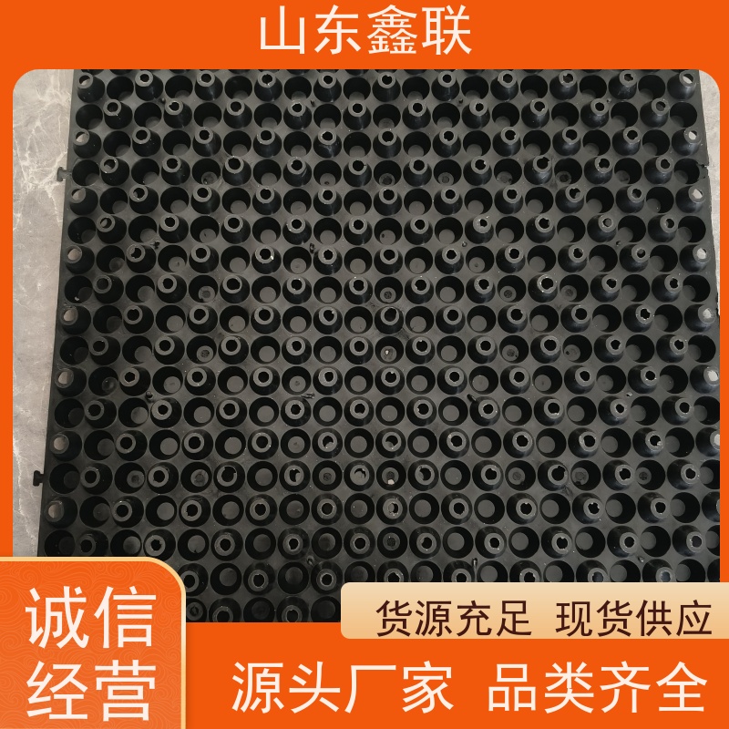 鑫联 2公分厚 塑料凸片排水层 厂家施工指导 PE排蓄水板