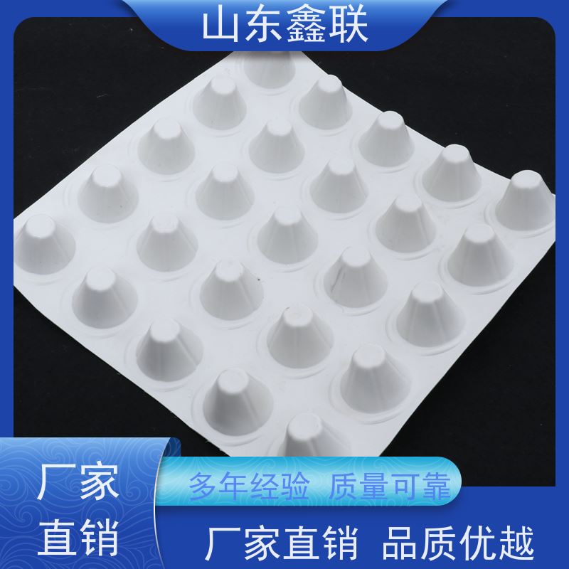 鑫联 黑色国标料 塑料凸片排水层 百亩面积厂商 成品疏水板