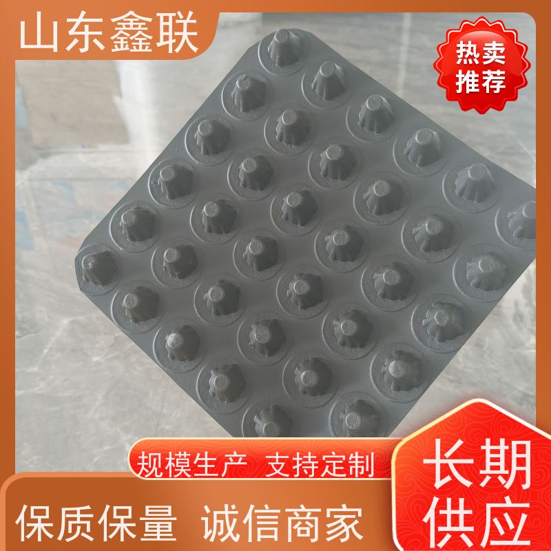 鑫联 3公分高 塑料凸片排水层 屋顶花园绿化 聚乙 烯滤水板
