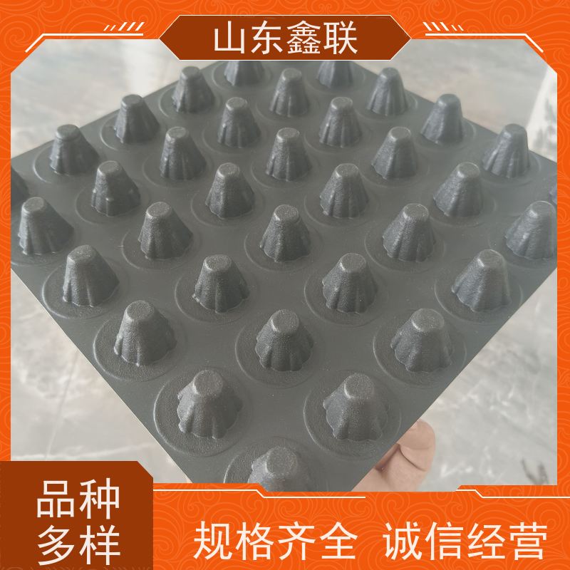 鑫联 2公分厚 塑料凸片排水层 厂家施工指导 成品疏水板