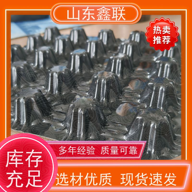 鑫联 3公分高 塑料凸片排水层 大厂实力批发 厚滤水板