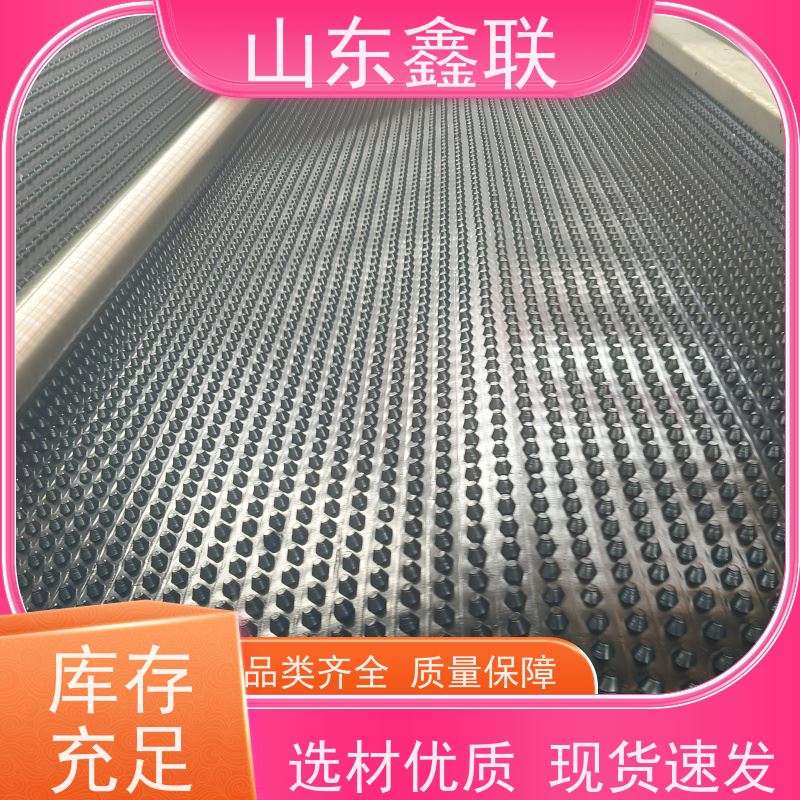 鑫联 14高复合一体 塑料凸片排水层 车库顶板专用 聚乙 烯滤水板