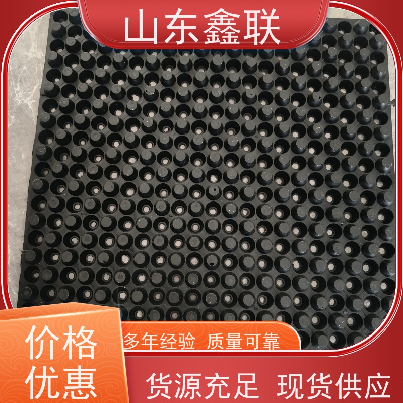 鑫联 爆卖百万平方 塑料凸片排水层 专注生产供应 聚乙 烯滤水板