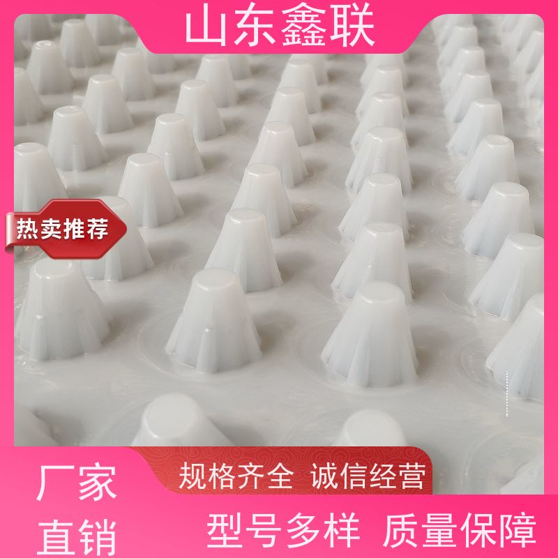 鑫联 25高卷材 塑料凸片排水层 厂家施工指导 聚乙 烯滤水板