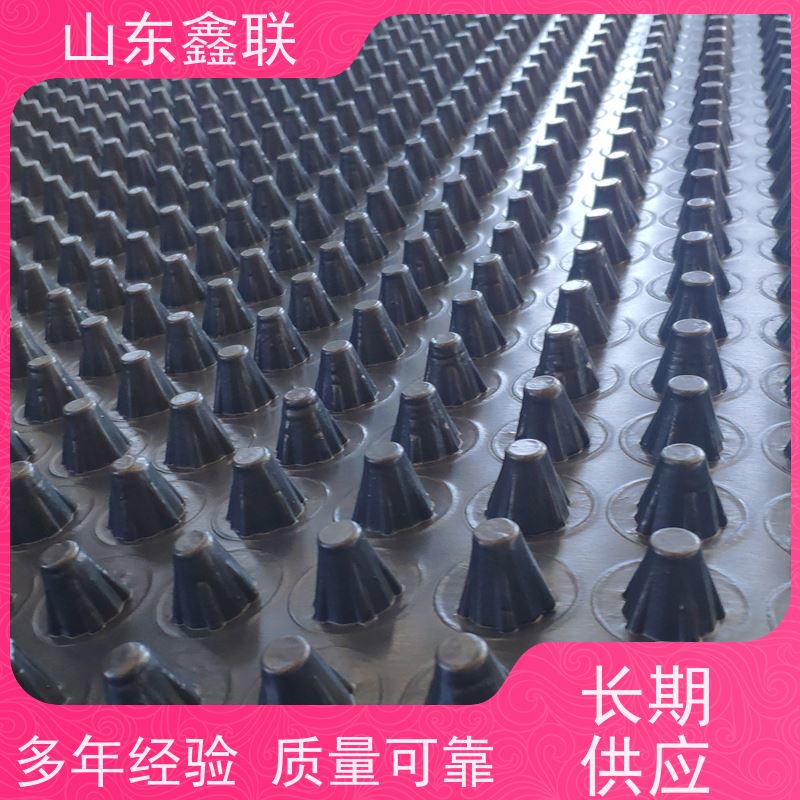 鑫联 白色全新料 塑料凸片排水层 百亩面积厂商 聚乙 烯滤水板