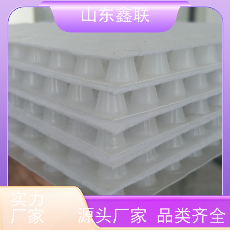 鑫联 黑色国标料 塑料凸片排水层 10年大厂品牌 厚滤水板