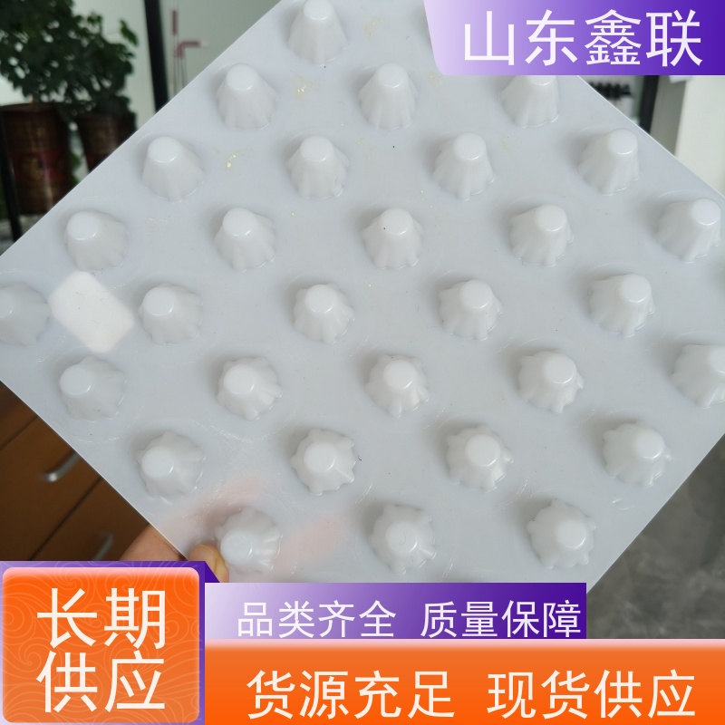 鑫联 2公分厚 塑料凸片排水层 科研创新 PE排蓄水板