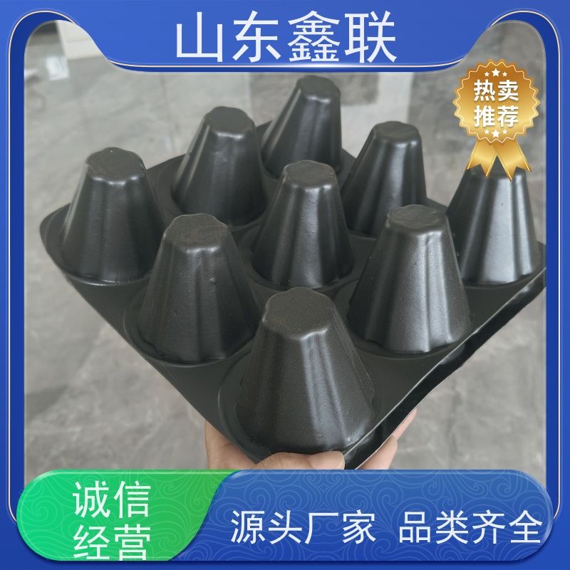 鑫联 50高黑色 塑料凸片排水层 国检认证品质 PE排蓄水板