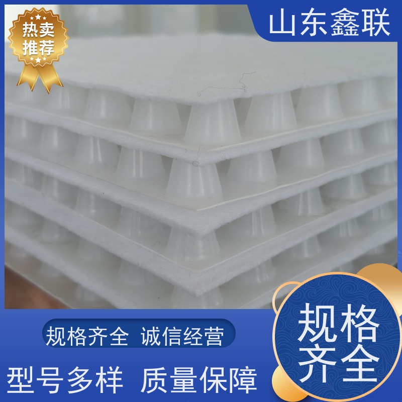鑫联 40高3*10 塑料凸片排水层 专注生产供应 厚滤水板