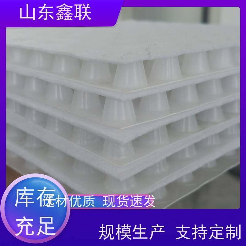 鑫联 白色全新料 塑料凸片排水层 厂家施工指导 聚乙 烯滤水板