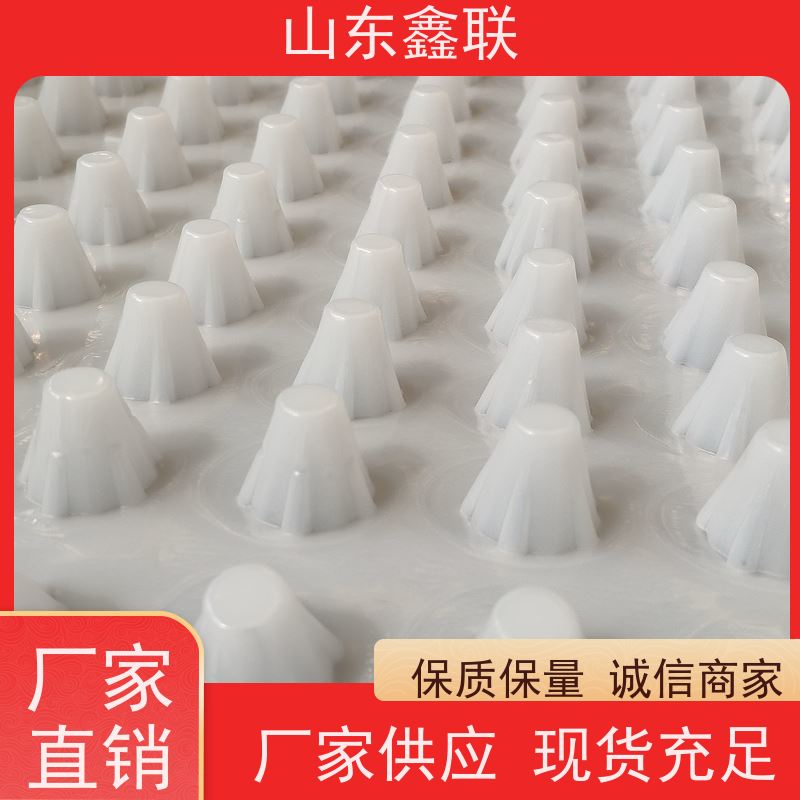 鑫联 14高复合一体 塑料凸片排水层 严选自营 聚乙 烯滤水板