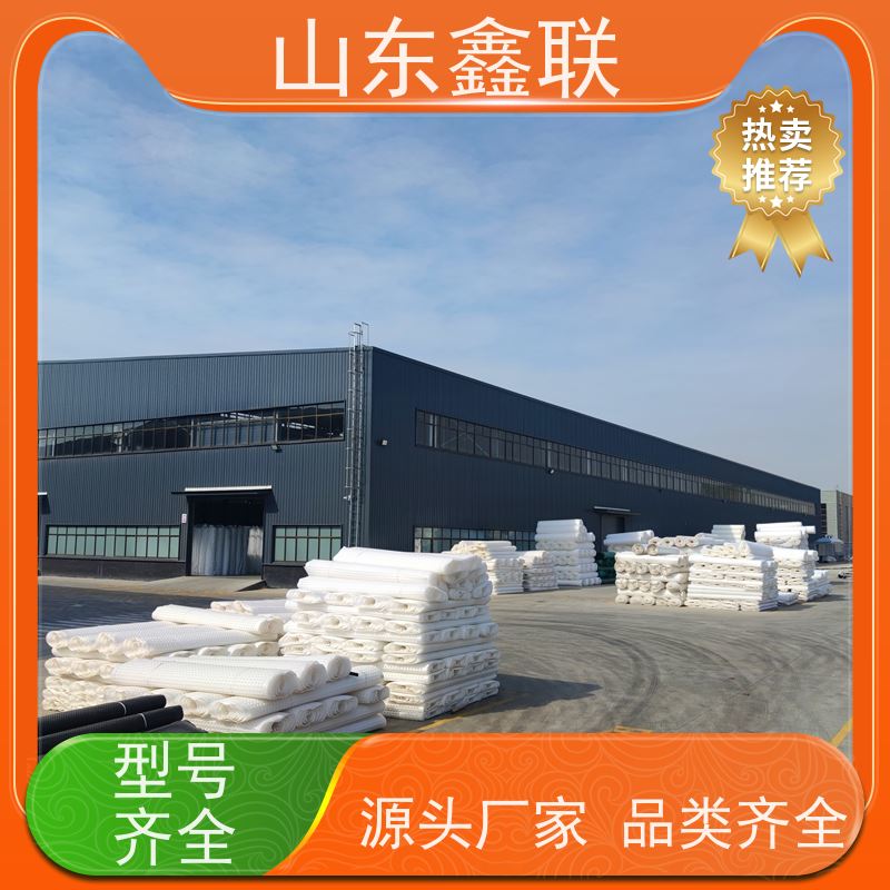 鑫联 2公分厚 塑料凸片排水层 专注生产供应 PE排蓄水板