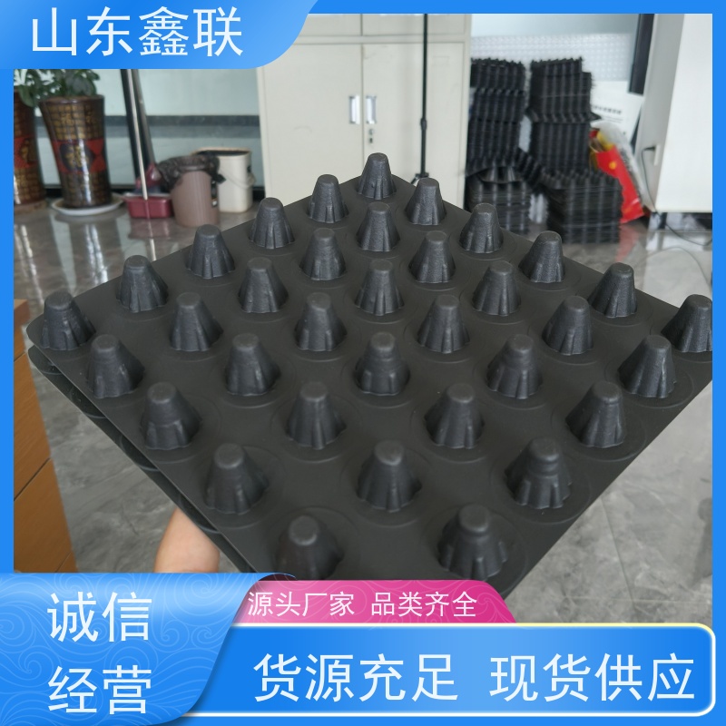 鑫联 20大杯口蓝色底板专用 塑料凸片排水层 屋顶花园绿化 PE排蓄水板