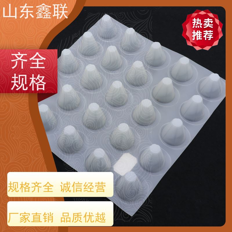 鑫联 20大杯口蓝色底板专用 塑料凸片排水层 屋顶花园绿化 厚滤水板