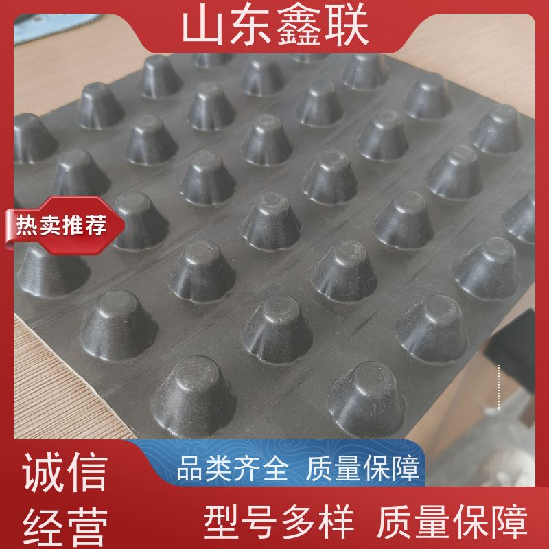 鑫联 1公分高 塑料凸片排水层 百亩面积厂商 PE排蓄水板