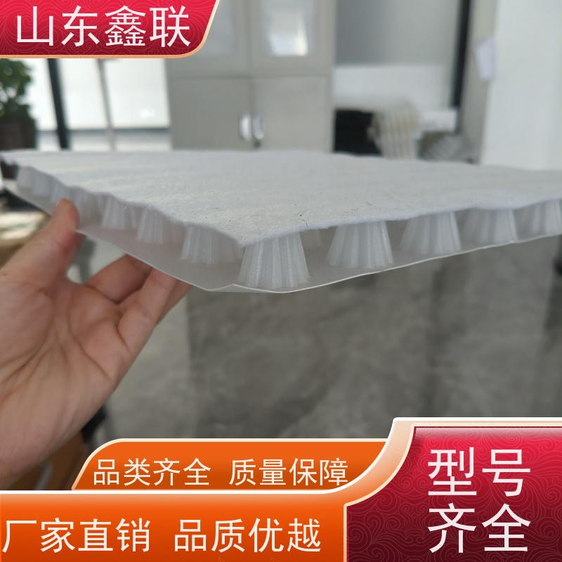 鑫联 50高黑色 塑料凸片排水层 严选自营 PE疏水板